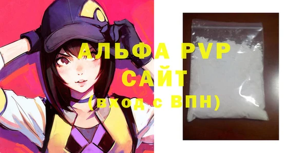 спиды Каменногорск