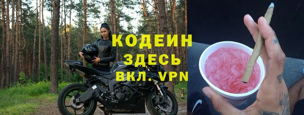 спиды Каменногорск