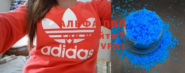 спиды Каменногорск