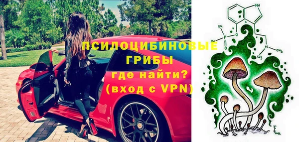 марки nbome Каменка